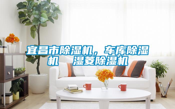 宜昌市除濕機(jī)，車庫除濕機(jī)  濕菱除濕機(jī)