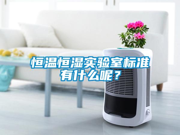 恒溫恒濕實(shí)驗(yàn)室標(biāo)準(zhǔn)有什么呢？
