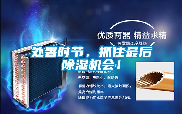 處暑時節(jié)，抓住最后除濕機會！