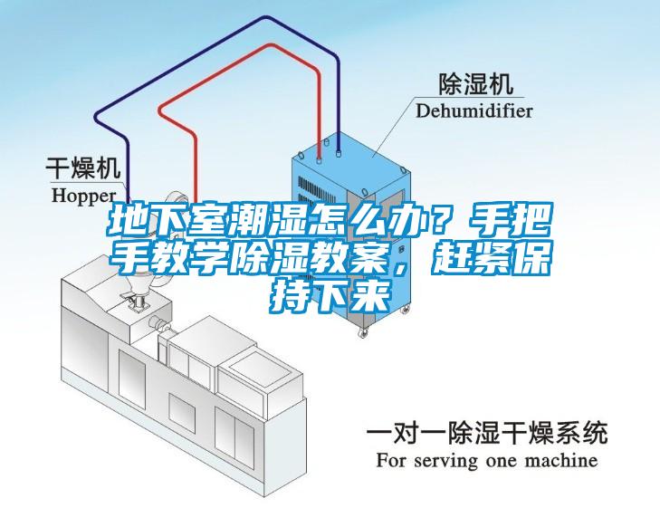地下室潮濕怎么辦？手把手教學(xué)除濕教案，趕緊保持下來(lái)