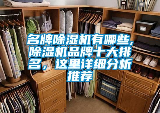 名牌除濕機有哪些,除濕機品牌十大排名，這里詳細分析推薦