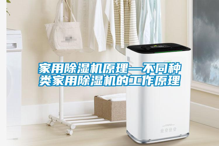 家用除濕機(jī)原理—不同種類家用除濕機(jī)的工作原理