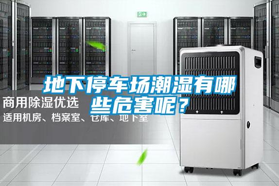 地下停車場潮濕有哪些危害呢？