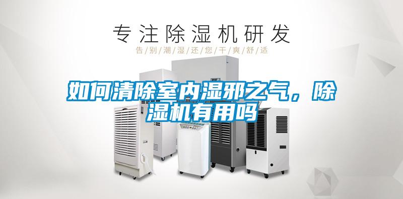 如何清除室內(nèi)濕邪之氣，除濕機(jī)有用嗎