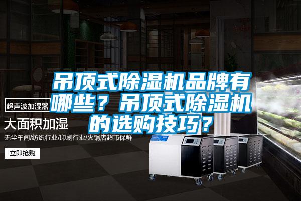 吊頂式除濕機(jī)品牌有哪些？吊頂式除濕機(jī)的選購技巧？