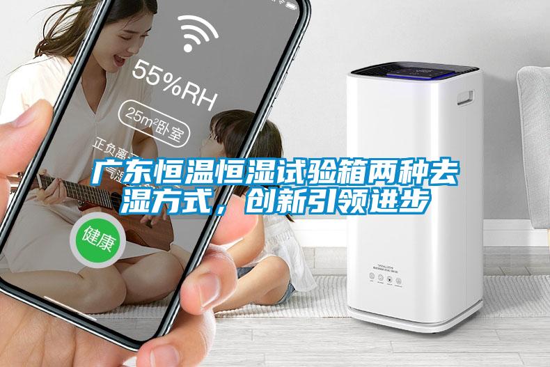 廣東恒溫恒濕試驗(yàn)箱兩種去濕方式，創(chuàng)新引領(lǐng)進(jìn)步