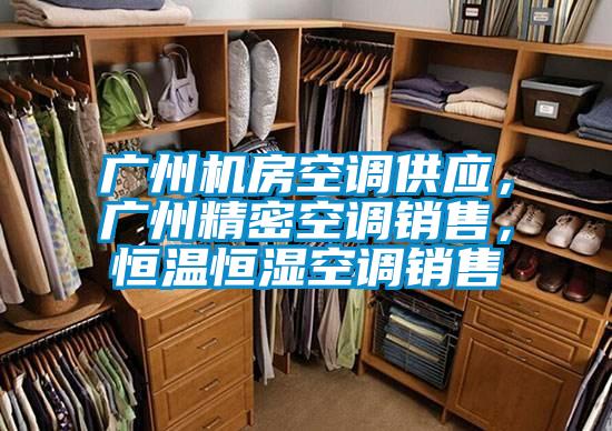 廣州機(jī)房空調(diào)供應(yīng)，廣州精密空調(diào)銷售，恒溫恒濕空調(diào)銷售