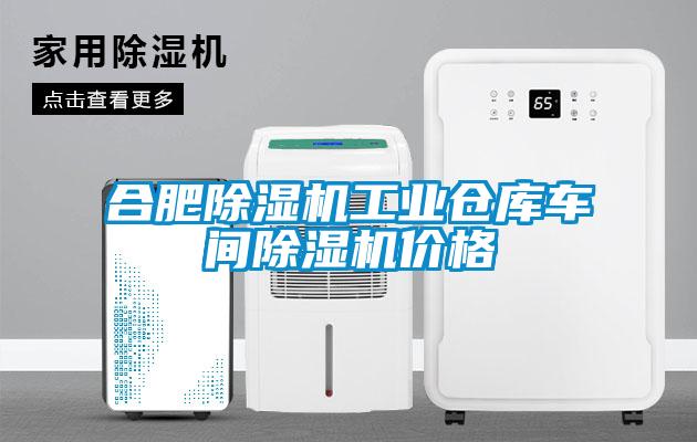 合肥除濕機(jī)工業(yè)倉(cāng)庫(kù)車(chē)間除濕機(jī)價(jià)格