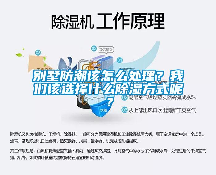 別墅防潮該怎么處理？我們?cè)撨x擇什么除濕方式呢？