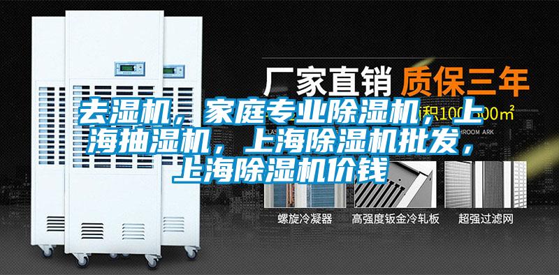 去濕機，家庭專業(yè)除濕機，上海抽濕機，上海除濕機批發(fā)，上海除濕機價錢