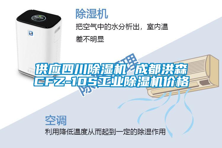 供應(yīng)四川除濕機 成都洪森CFZ-10S工業(yè)除濕機價格