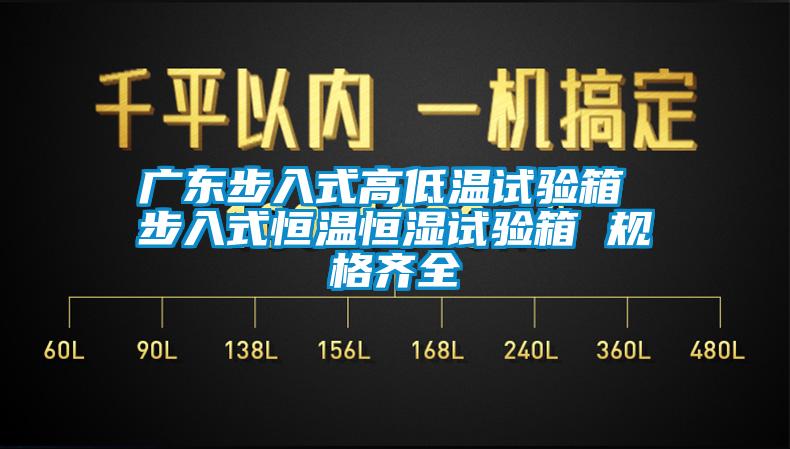 廣東步入式高低溫試驗箱 步入式恒溫恒濕試驗箱 規(guī)格齊全