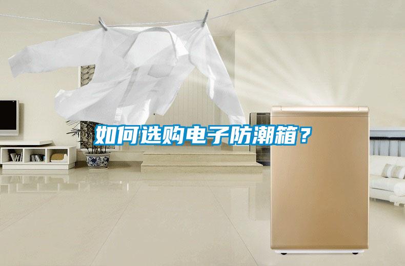 如何選購電子防潮箱？