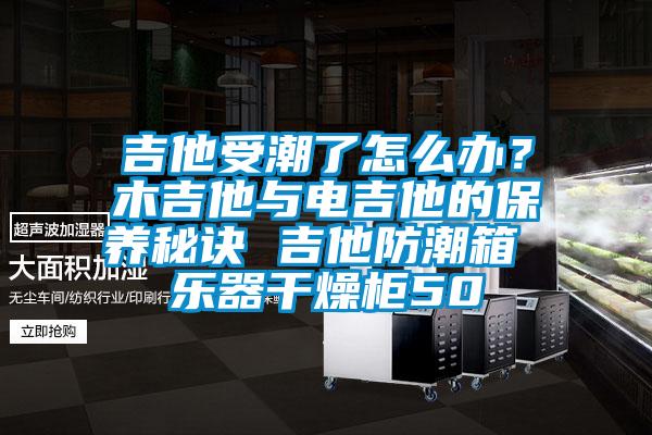 吉他受潮了怎么辦？木吉他與電吉他的保養(yǎng)秘訣 吉他防潮箱 樂器干燥柜50