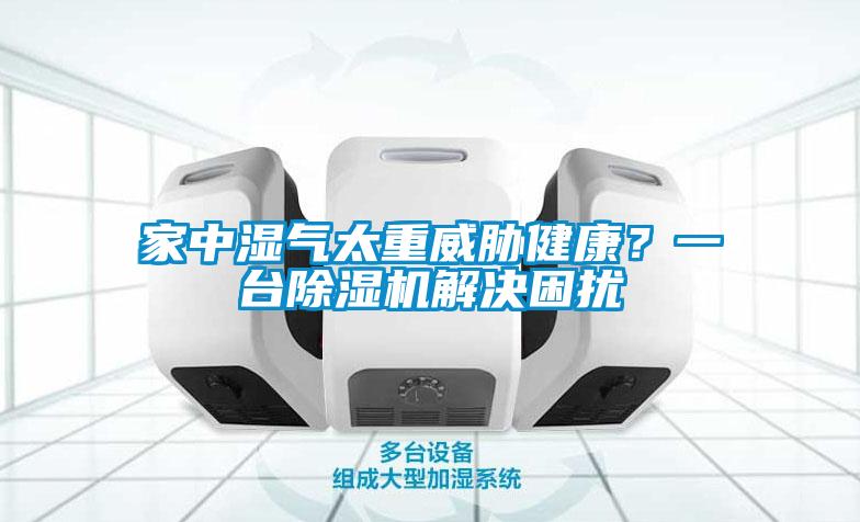 家中濕氣太重威脅健康？一臺(tái)除濕機(jī)解決困擾