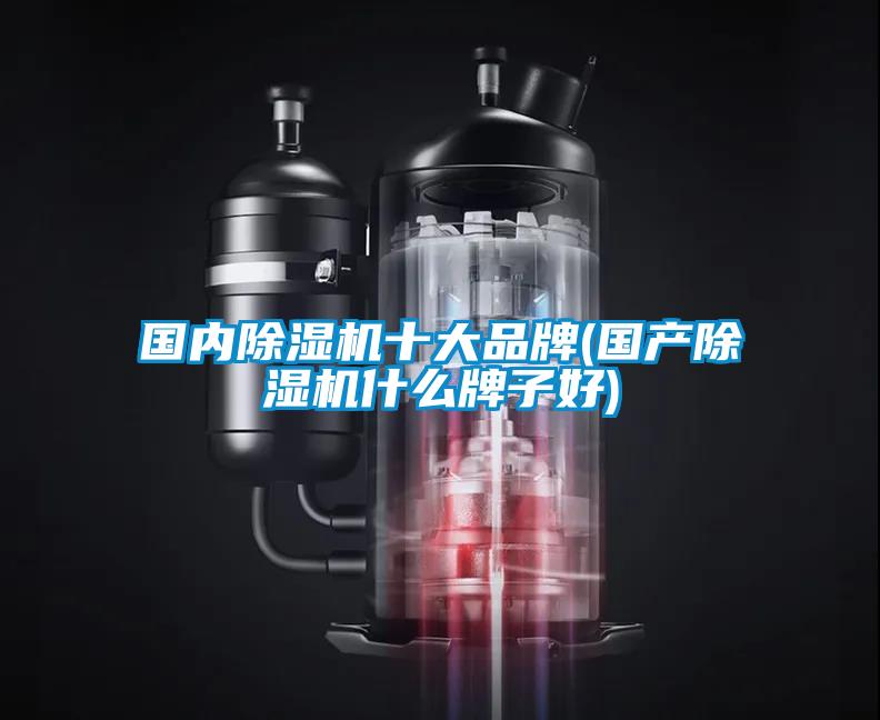 國(guó)內(nèi)除濕機(jī)十大品牌(國(guó)產(chǎn)除濕機(jī)什么牌子好)