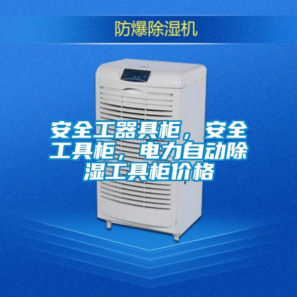 安全工器具柜，安全工具柜，電力自動除濕工具柜價格
