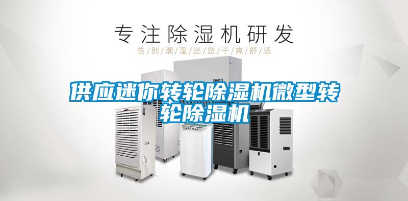 供應迷你轉(zhuǎn)輪除濕機微型轉(zhuǎn)輪除濕機