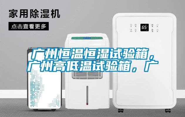 廣州恒溫恒濕試驗(yàn)箱，廣州高低溫試驗(yàn)箱，廣