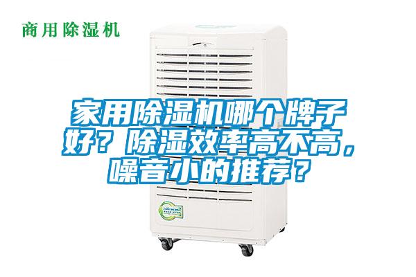 家用除濕機哪個牌子好？除濕效率高不高，噪音小的推薦？