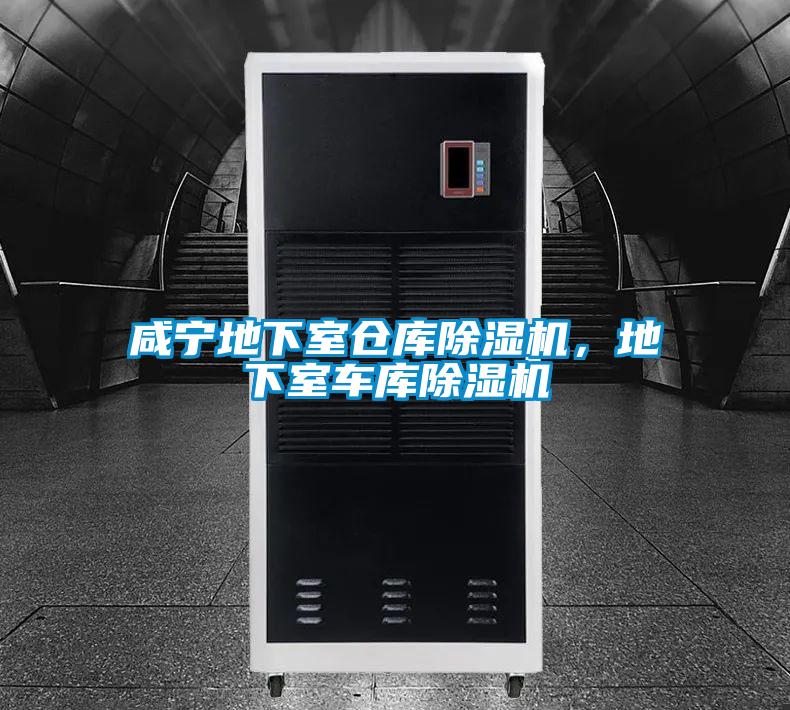 咸寧地下室倉(cāng)庫(kù)除濕機(jī)，地下室車庫(kù)除濕機(jī)