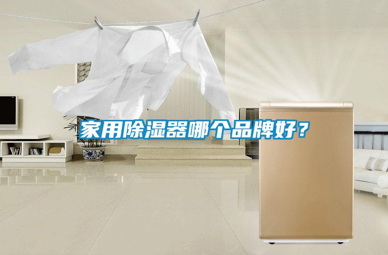 家用除濕器哪個(gè)品牌好？