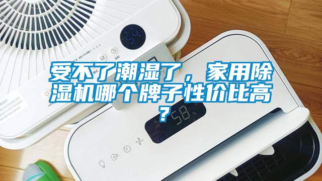 受不了潮濕了，家用除濕機哪個牌子性價比高？