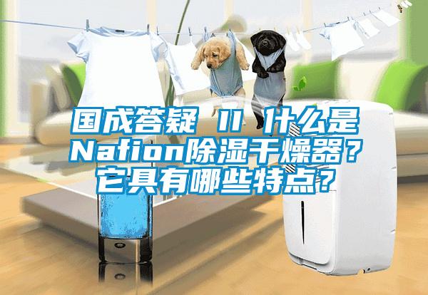 國(guó)成答疑 II 什么是Nafion除濕干燥器？它具有哪些特點(diǎn)？
