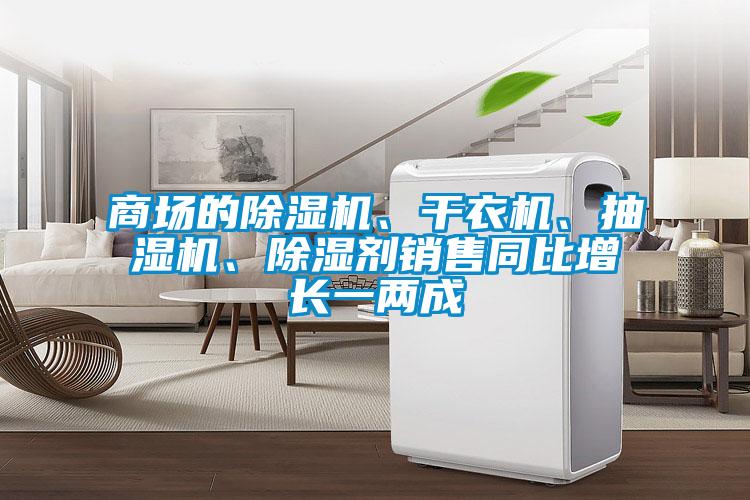 商場的除濕機、干衣機、抽濕機、除濕劑銷售同比增長一兩成