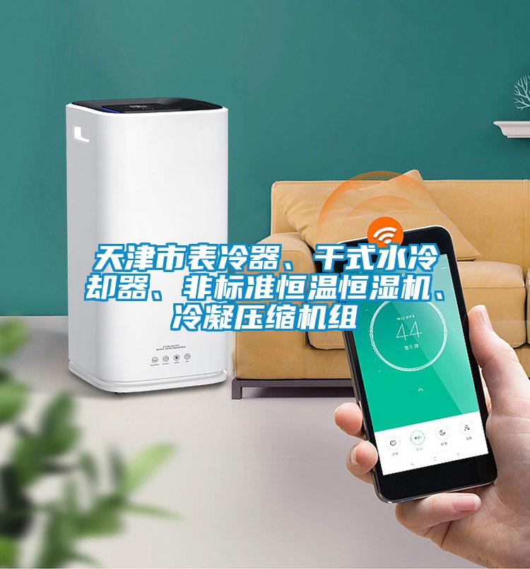 天津市表冷器、干式水冷卻器、非標(biāo)準(zhǔn)恒溫恒濕機(jī)、冷凝壓縮機(jī)組