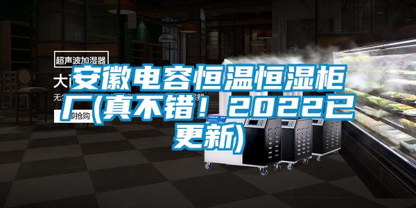 安徽電容恒溫恒濕柜廠(真不錯！2022已更新)