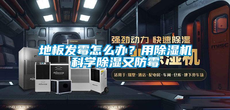 地板發(fā)霉怎么辦？用除濕機(jī)科學(xué)除濕又防霉