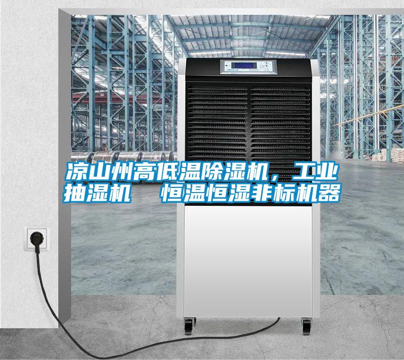 涼山州高低溫除濕機，工業(yè)抽濕機  恒溫恒濕非標機器