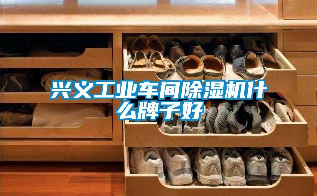 興義工業(yè)車間除濕機(jī)什么牌子好