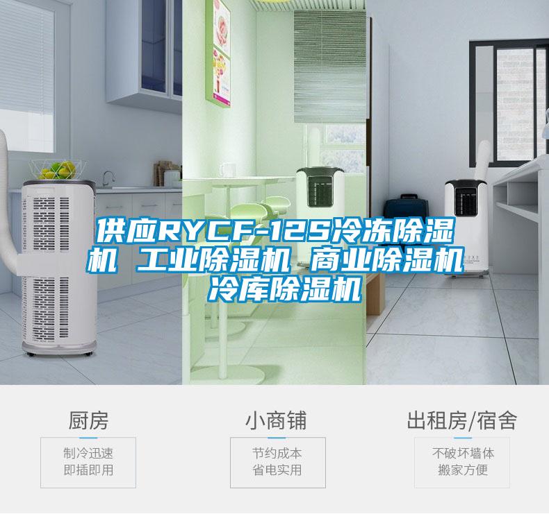 供應(yīng)RYCF-12S冷凍除濕機 工業(yè)除濕機 商業(yè)除濕機 冷庫除濕機