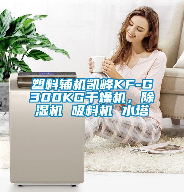 塑料輔機(jī)凱峰KF-G300KG干燥機(jī)，除濕機(jī) 吸料機(jī) 水塔