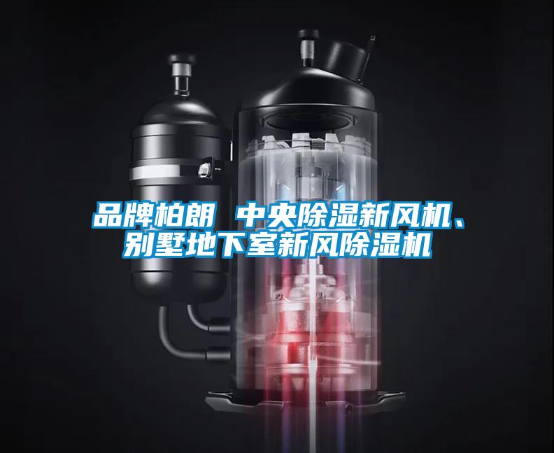 品牌柏朗 中央除濕新風機、別墅地下室新風除濕機
