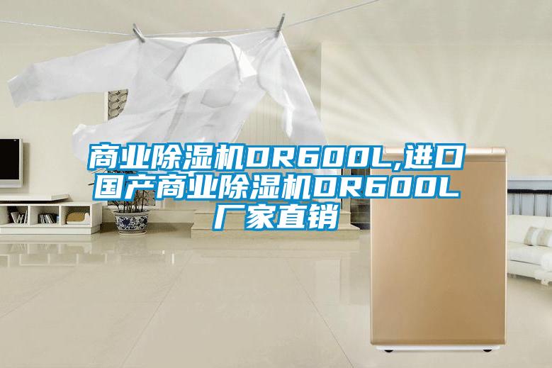 商業(yè)除濕機DR600L,進口國產(chǎn)商業(yè)除濕機DR600L廠家直銷