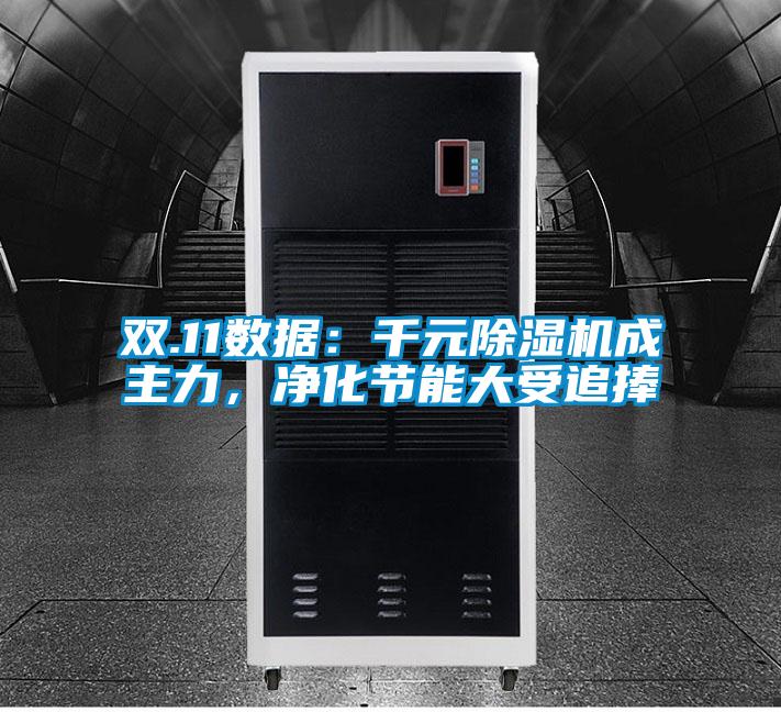 雙.11數(shù)據(jù)：千元除濕機(jī)成主力，凈化節(jié)能大受追捧