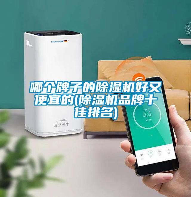 哪個牌子的除濕機(jī)好又便宜的(除濕機(jī)品牌十佳排名)