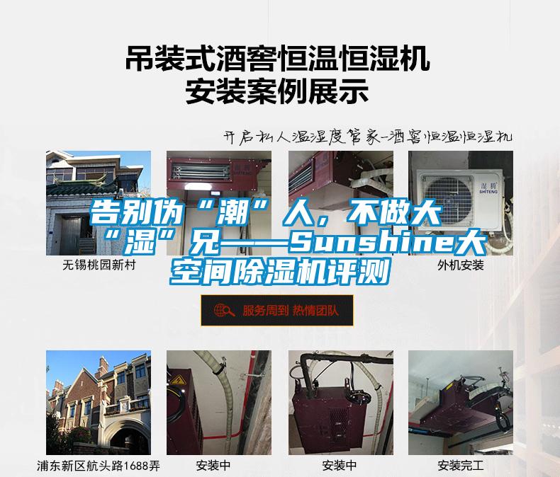 告別偽“潮”人，不做大“濕”兄——Sunshine大空間除濕機(jī)評(píng)測(cè)