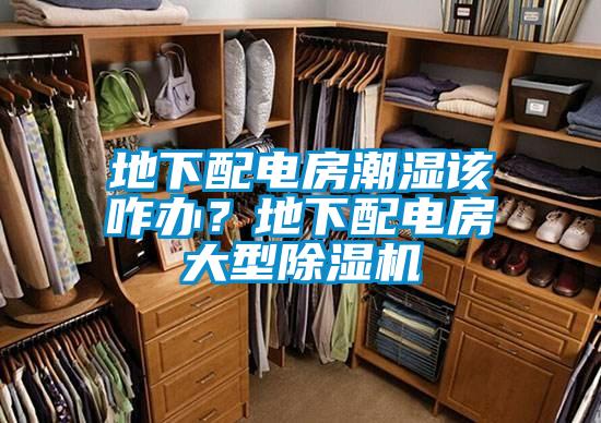 地下配電房潮濕該咋辦？地下配電房大型除濕機(jī)