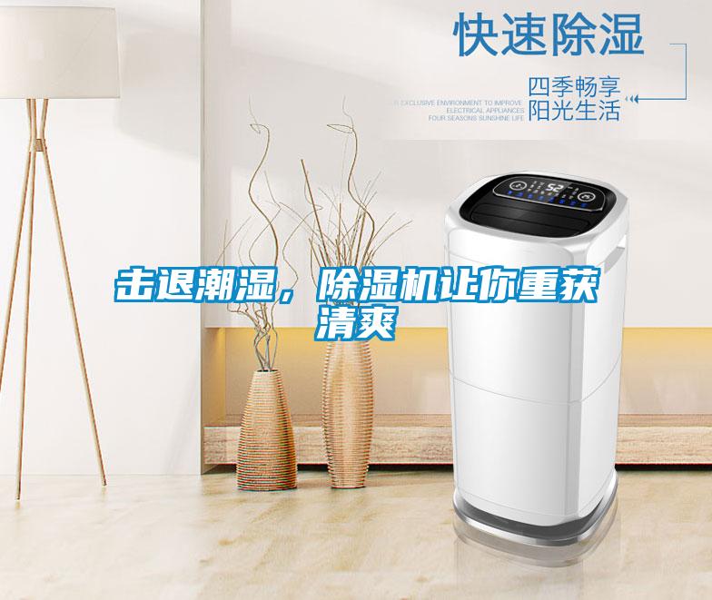 擊退潮濕，除濕機(jī)讓你重獲清爽