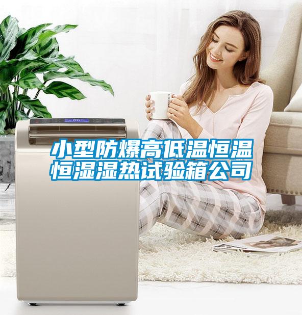 小型防爆高低溫恒溫恒濕濕熱試驗(yàn)箱公司