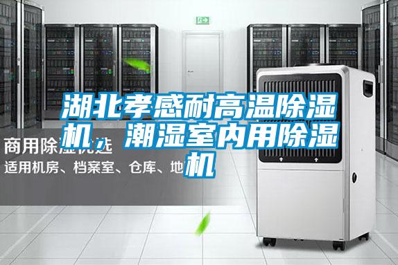 湖北孝感耐高溫除濕機(jī)，潮濕室內(nèi)用除濕機(jī)
