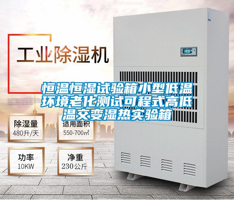 恒溫恒濕試驗(yàn)箱小型低溫環(huán)境老化測(cè)試可程式高低溫交變濕熱實(shí)驗(yàn)箱