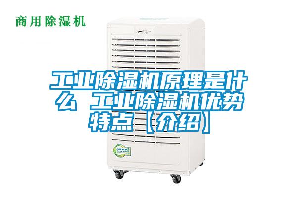 工業(yè)除濕機(jī)原理是什么 工業(yè)除濕機(jī)優(yōu)勢(shì)特點(diǎn)【介紹】