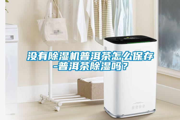 沒有除濕機普洱茶怎么保存-普洱茶除濕嗎？