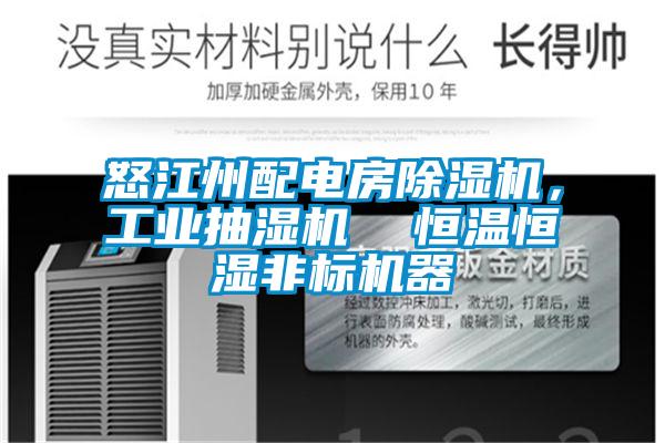 怒江州配電房除濕機(jī)，工業(yè)抽濕機(jī)  恒溫恒濕非標(biāo)機(jī)器
