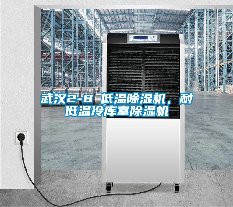 武漢2-8℃低溫除濕機(jī)，耐低溫冷庫室除濕機(jī)